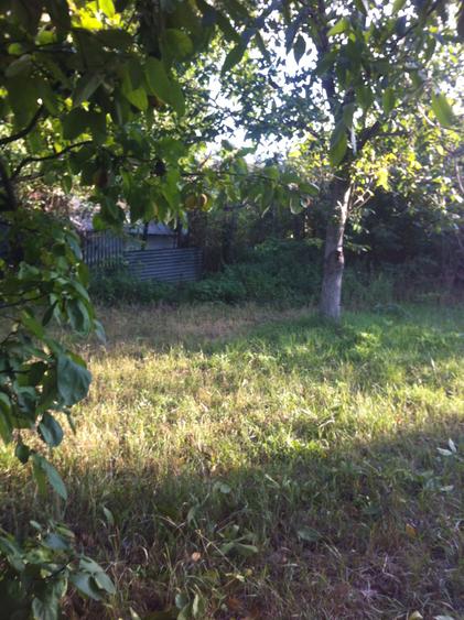 Teren de vanzare la asfalt in Cervicesti - 1