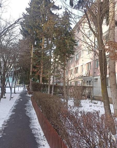 De vanzare garsoniera pe strada Vasile Goldis in Sfantu Gheorghe - 2