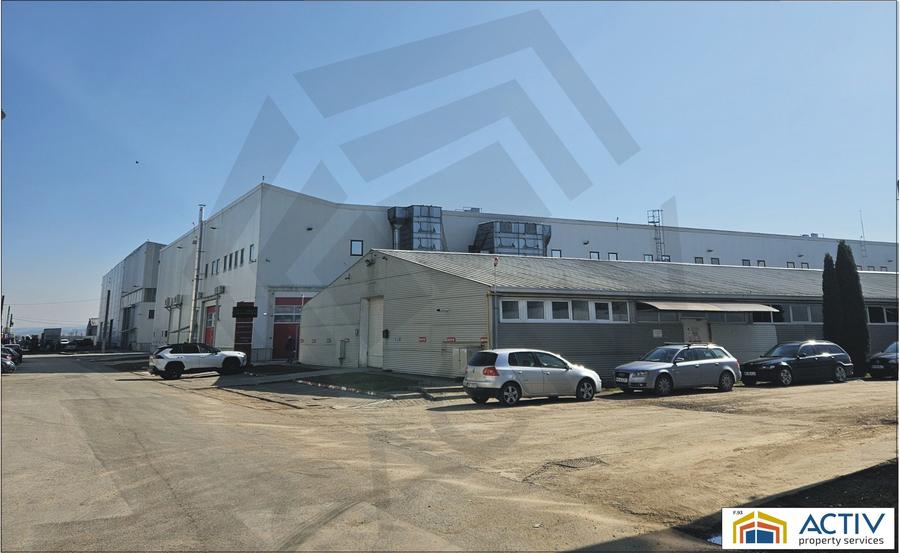 Spatiu industrial de inchiriat Vidrasau Mures - 2