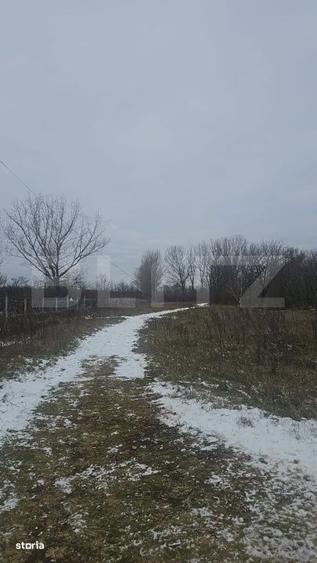 Teren intravilan, 447 mp, zona Priseaca - 5