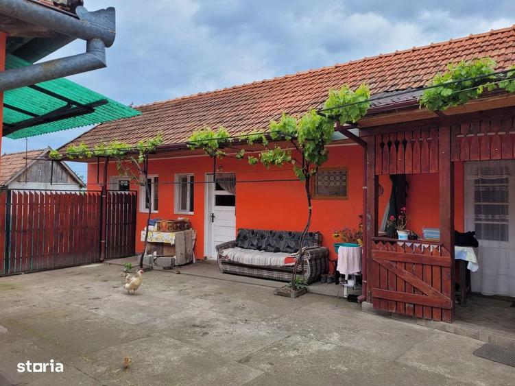 Proprietate compusa din 2 case in aceeasi curte - 2