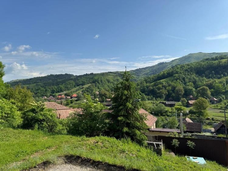 Casa de vanzare, 5 cam., 200 mp. + 5000 mp. teren, Valea Ariesului - 6