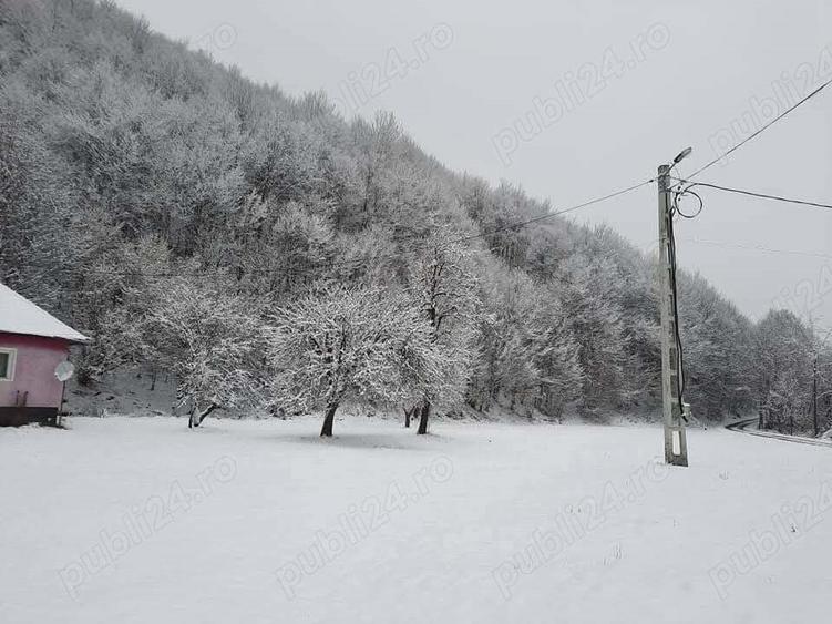 Casa ?i teren de vanzare - 2