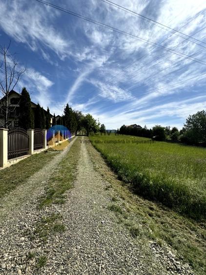 Teren Viisoara - comuna Alexandru cel Bun - 3