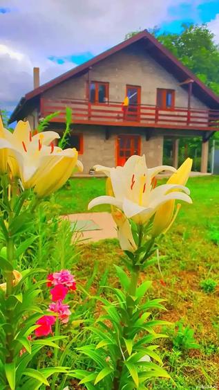 Vand casa la alb. - 5