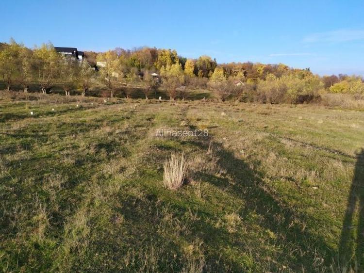 Teren intravilan DE VÂNZARE, NEGOCIABIL Campina (jud Prahova), cartier Voila (1h30min de Bucuresti)