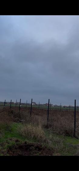 Teren 1845 mp Com Berceni - 7