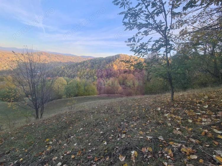 Teren intravilan de vanzare in Telega - 15