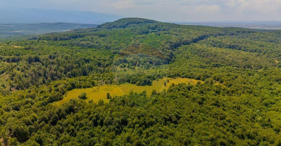 COMISION 0% Teren Grid/Inima Naturii/ Oportunitate de inv... - 6