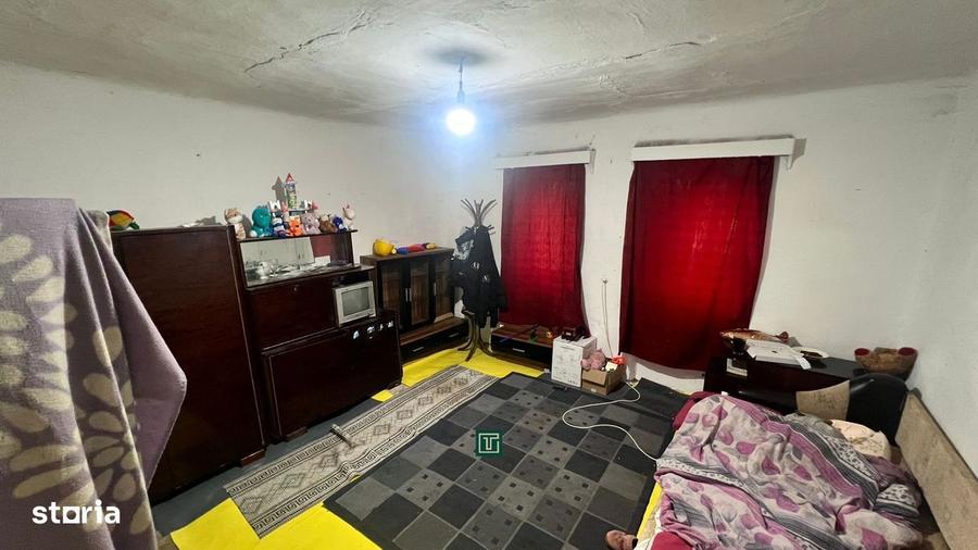 Teren intravilan generos de vanzare in Recas - 3