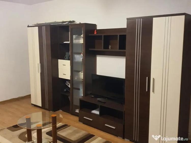 P.F Apartament 1 camera Podul de Fier - 2