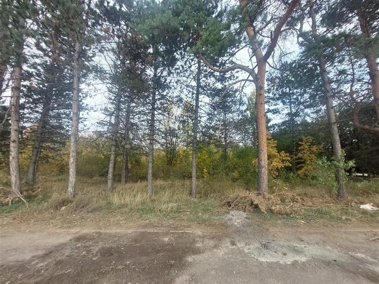 TEREN DE VANZARE 2000 MP IN VECINATATEA RAFO CU DESHIDERE LA SOSEAUA INDUSTRIILO - 1