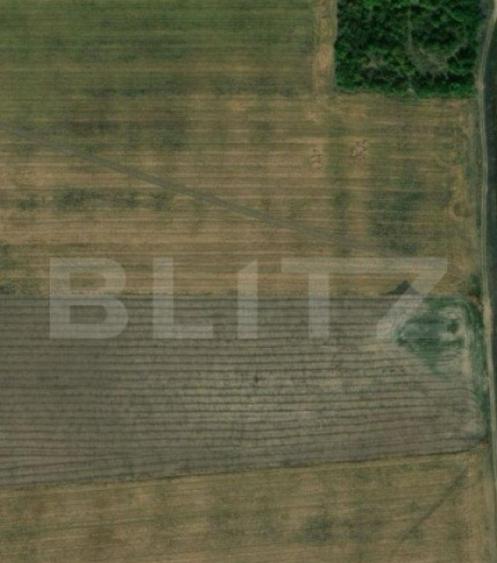 Teren extravilan, zona Carcea, cu o suprafata de 12218 mp - 1