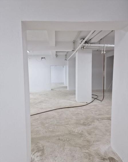 Cismigiu, teren 370 mp+ sp com 360 mp - 3