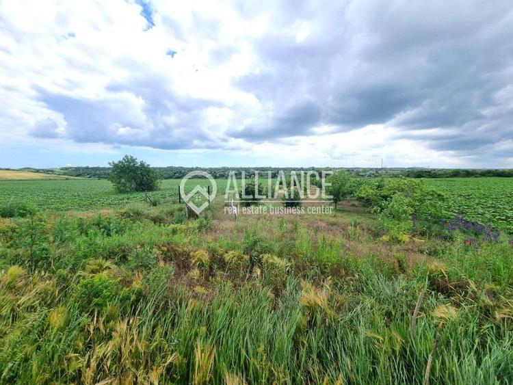 OVIDIU (COD 02)  - teren extravilan 4000 mp - 3