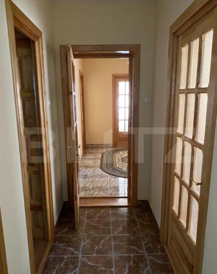 Vila 7 camere, 750mp-teren, BAILE HERCULANE - 3