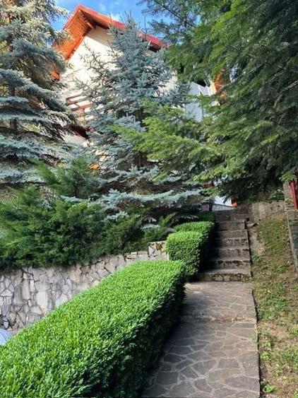 Vanzare Casa cu brazi, Breaza, vizavi de Lac de Verde - 5