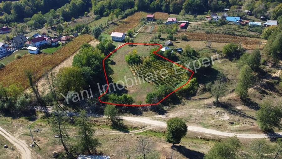 Teren de vanzare in comuna Baicule?ti, sat Tutana, jude? Arge?. - 10