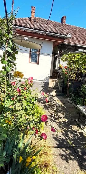 Proprietar - Vand casa schimb cu apartament 3 camere in Hunedoara plus diferenta - 5