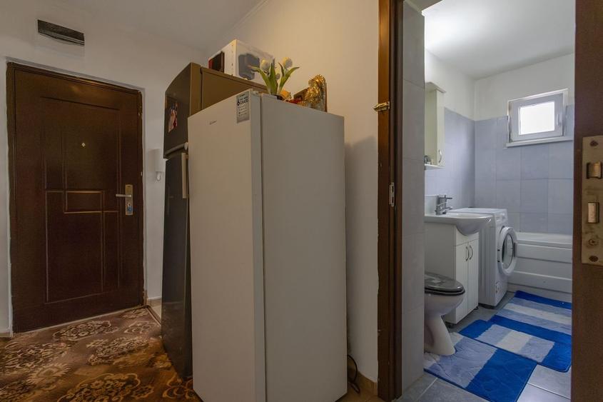 De vanzare apartament 2 camere in Buzias - 5