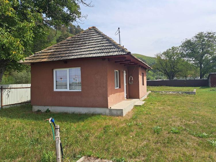 2 Case de vanzare - 7