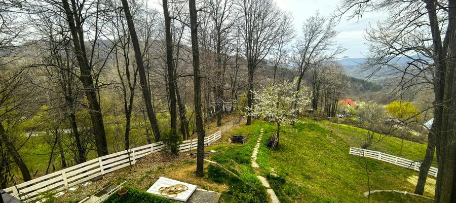 Proprietate Breaza de vis , zona de vis , prezentarea agentului , de vis - 20