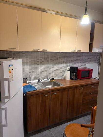 Apartament 2 camere Pacurari - Concept - 3