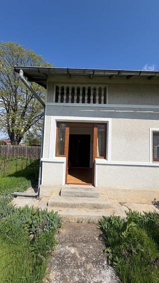 Silistea Snagovului, comuna Gruiu - 14