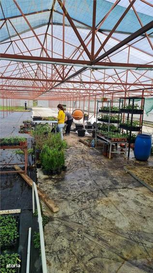 AFACERE LA CHEIE HALA PRODUCTIE + SERA PROFESIONALA - 5