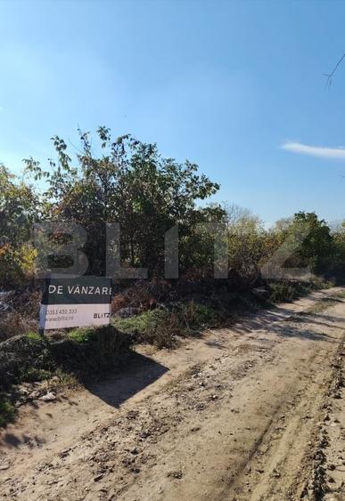 Teren intravilan, 1800 mp, zona Carcea Profi, P+2, deschidere 21.47 m - 1