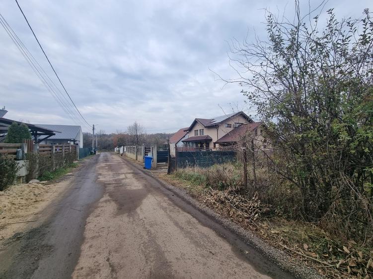 Vand 2500 mp in Branesti, strada Brazi in spatele lizierei, tpate utilitatile, - 7