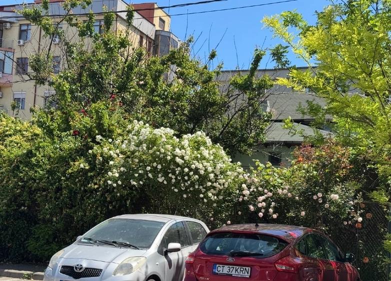 EXCLUSIVITATE | Teren Ultracentral 478 mp | Zona Casa de Cultură – Școala Ion Ja - 2