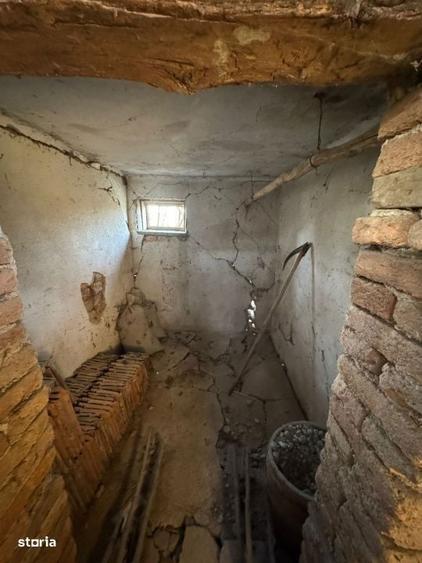 Doua case pe acelasi teren, 180 mp utili, 25 ari, Sindresti - 9