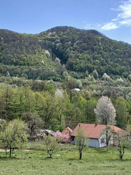 Casa la munte cu parau in curte,in localitatea Nojag.la 18 km.de DEVA - 3