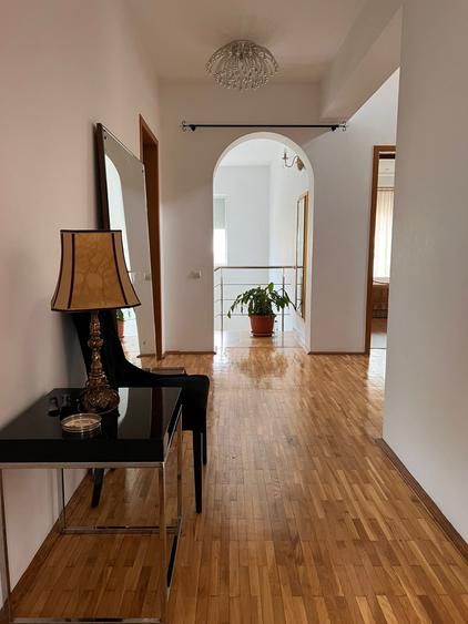 Vila deosebita 11 camere Erou Iancu Nicolae - 10