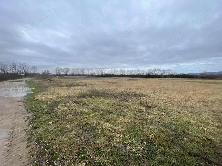 5700 mp Teren intrav. zona Mini Paradis, deschidere 44 ml- 28 eur/mp - 2