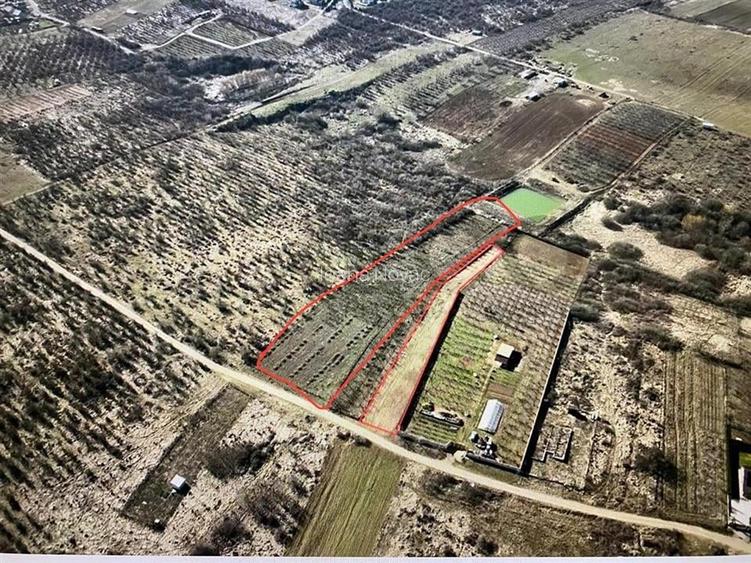 RECO Teren intravilan in  Paleu 6178mp