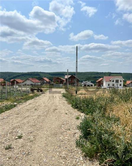 RECO teren de in zona Betfia - 3