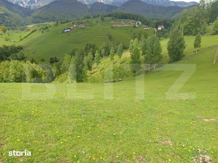 Teren de 4649 mp, în Peștera