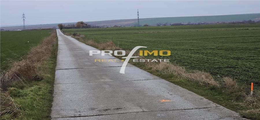 Teren agricol extravilan de 4200 mp, în Corbu