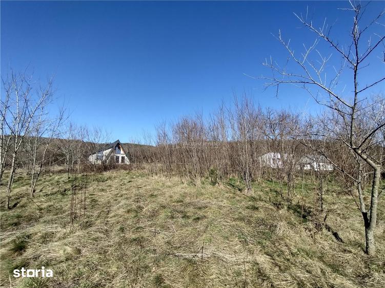 Teren de 2500 mp, în Central
