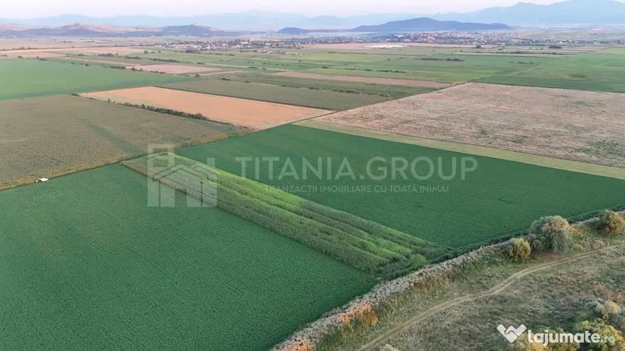 Teren extravilan, 8700 mp, pretabil agricultura sau inve... - 4