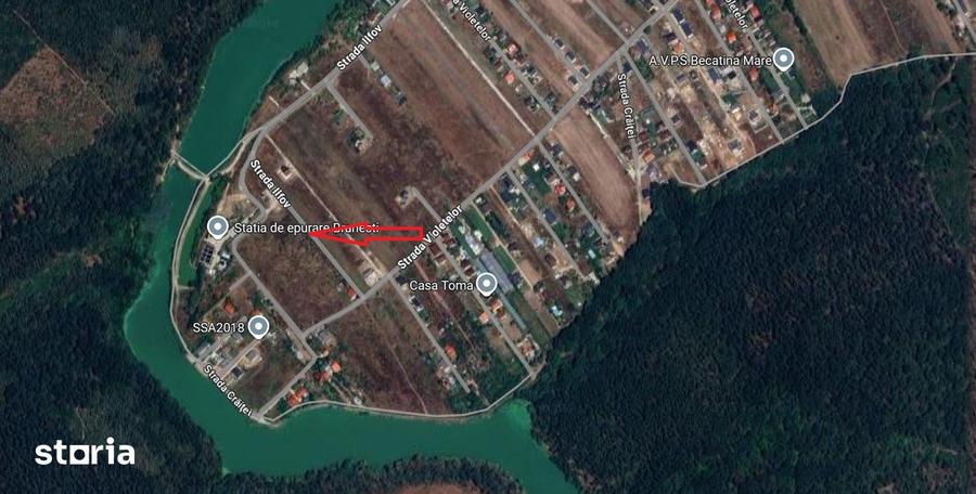 Branesti, 500mp, str. Violetelor, Lacul Pasarea, Padurea Cucu - 4