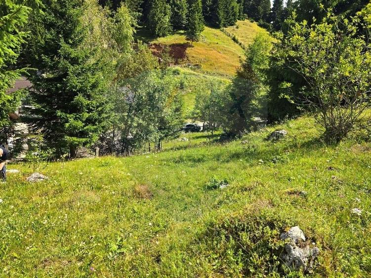 Teren de vis în Fundata 1934mp sau 3868mp, la înălțimea sufletului tău - 4