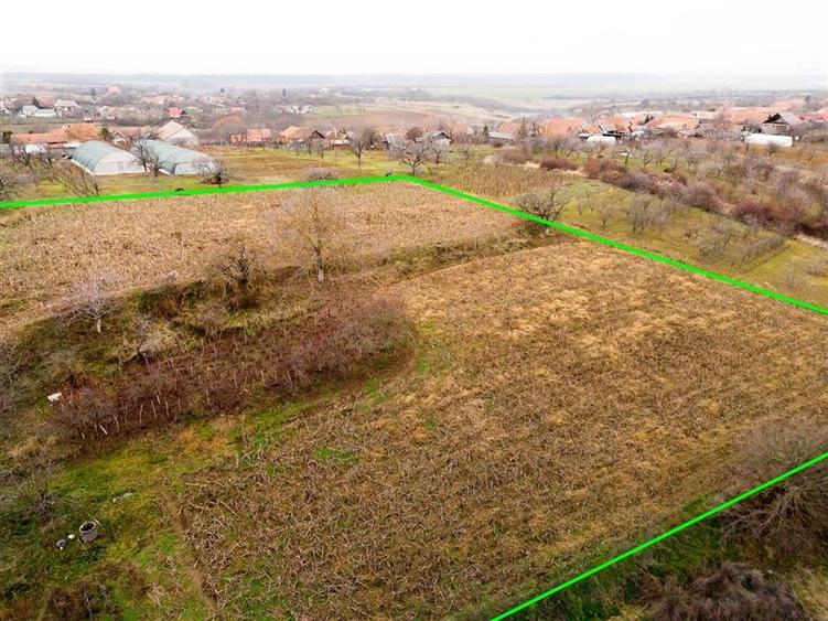 RECO, Casa cu 9168 mp teren intravilan, Sistera, Cetariu, Aproape de Oradea - 15