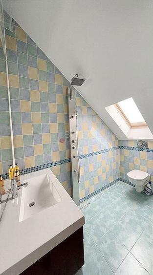 Priveliste Spre Tampa - 1