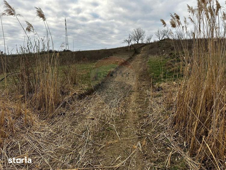 Teren cu panorama superba in Berchezoaia + bonus rulota - 8