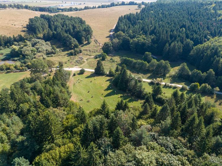 Investitie premium in turism-teren 6800mp langa lacuri Vulcan Brasov - 13