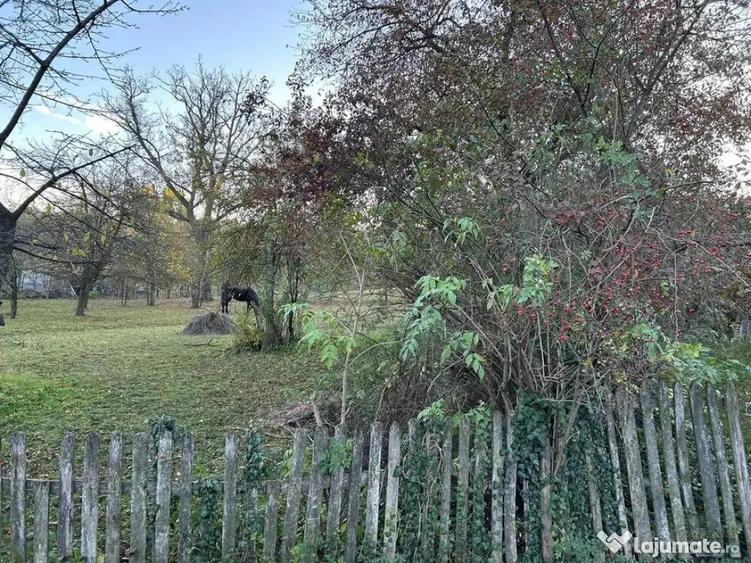 Teren intravilan 2.050 mp Comuna Izvoarele, jude?ul Pra - 4