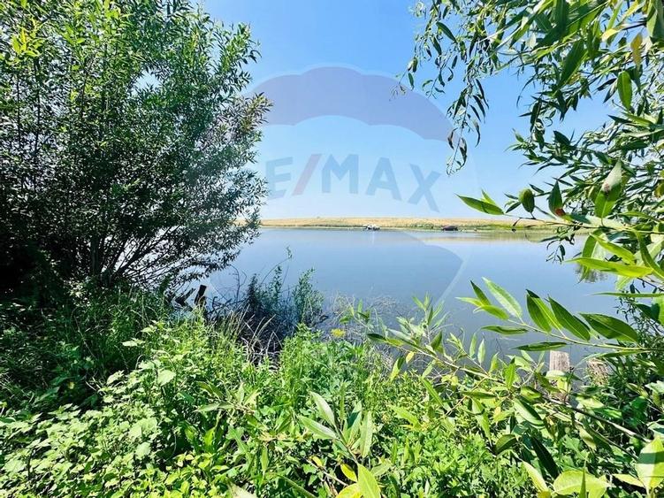 Teren 1537mp cu Livada si Iesire la Lac in Niculesti-Dambovita - 10